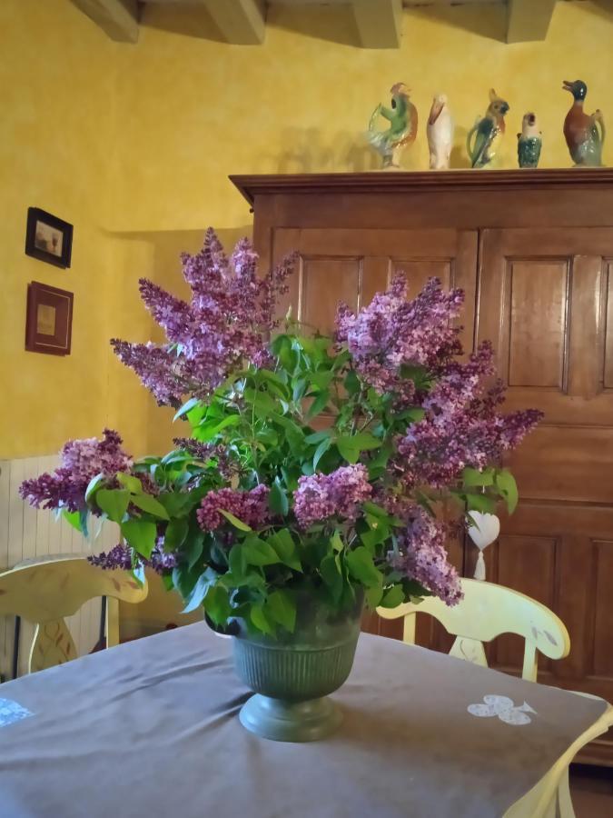 Chambre Dans Prieure De Caractere XVIII Siecle Planioles Екстер'єр фото
